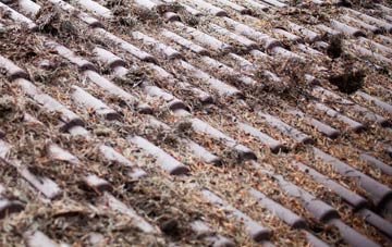 Borough roof cleaning companies